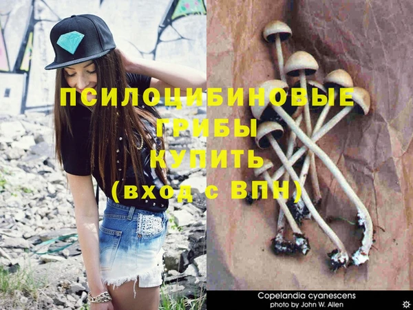 мяу мяу мука Беломорск