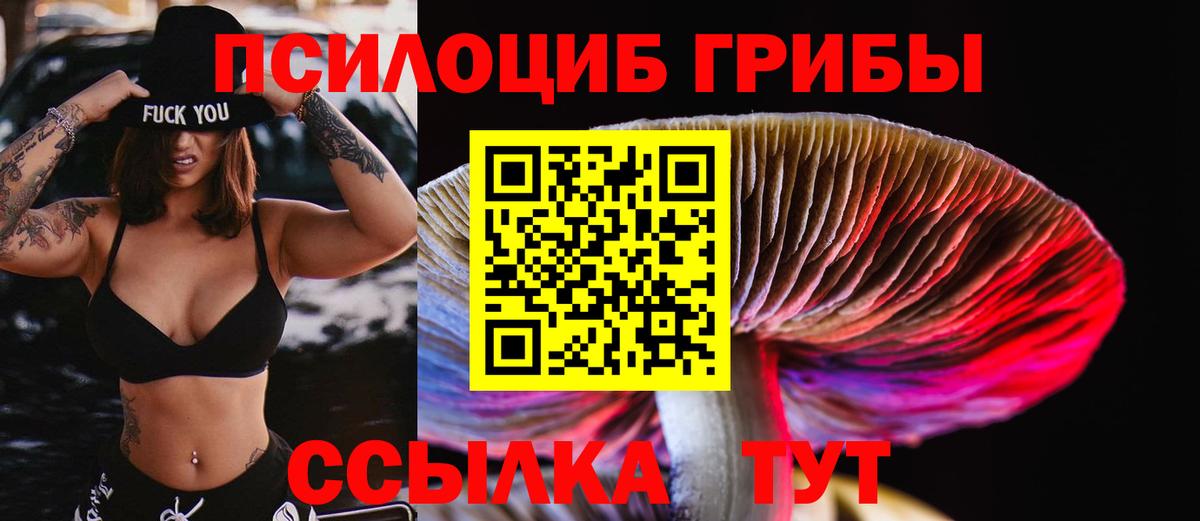 Галлюциногенные грибы GOLDEN TEACHER  где купить наркоту  Вход с VPN  Славгород  Псилоцибиновые грибы Magic Shrooms 